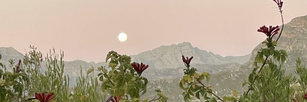 Abrarchaudhury Profile Banner