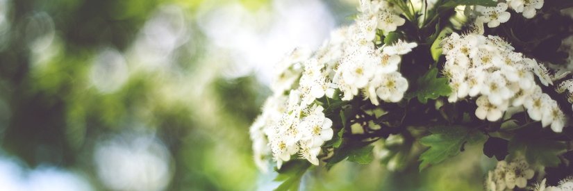 maaandday's profile banner image