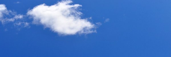 kiwibrew Profile Banner
