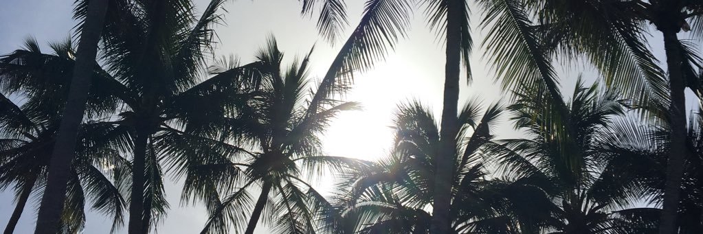 jemima_painter's profile banner image