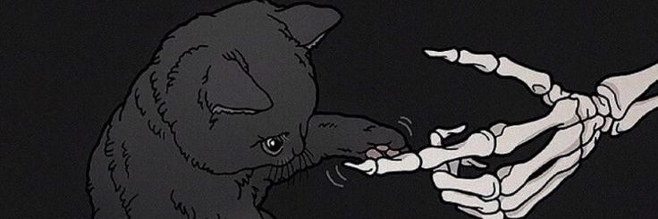ashhulee's profile banner image