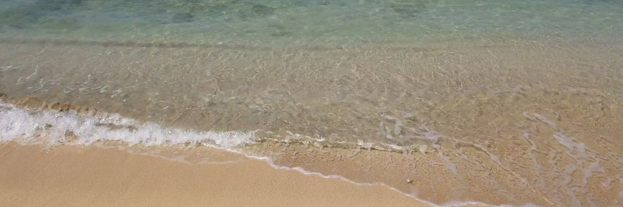 Chris Cortopassi banner