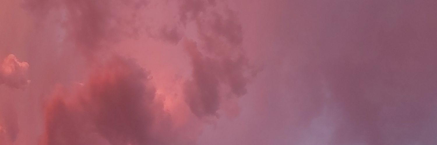 barbiejara's profile banner image