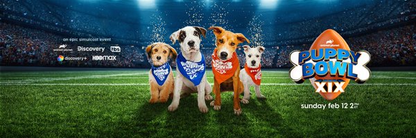 meepthebird Profile Banner