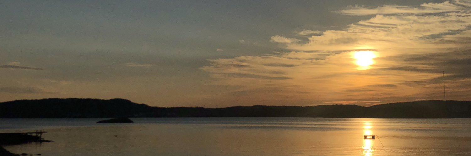 fmisaksson's profile banner image
