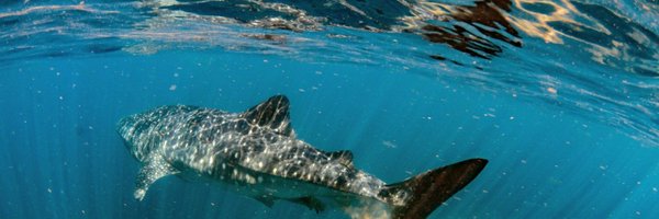 AlunPonting Profile Banner