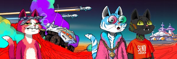 Sp88ked Profile Banner