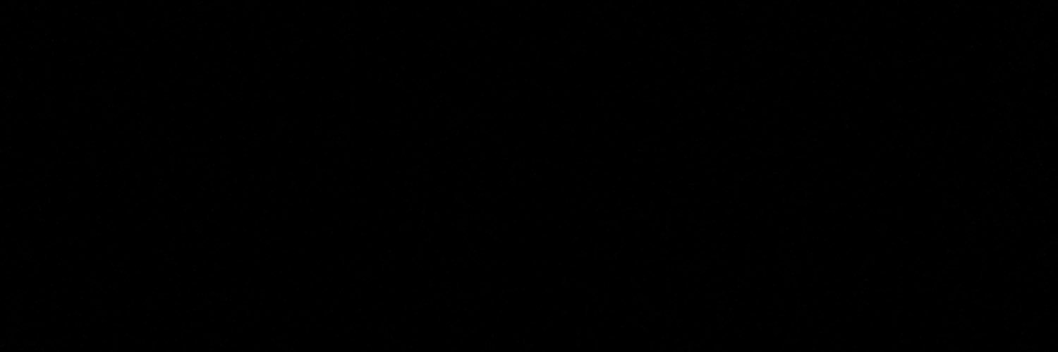 shtlzi's profile banner image