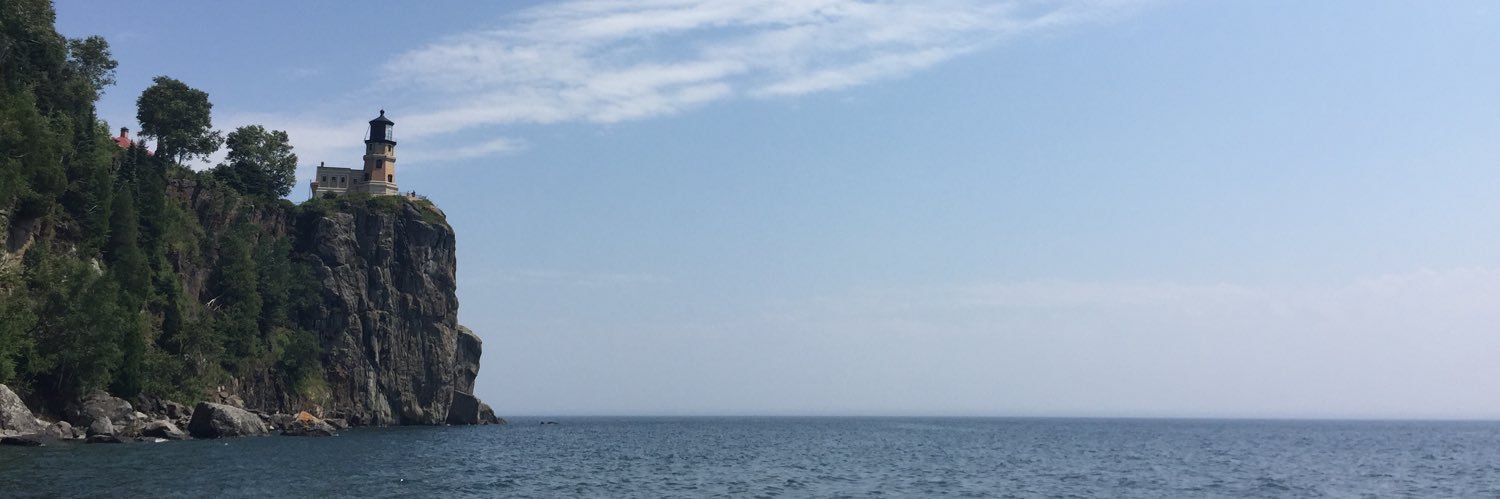 dliu55's profile banner image