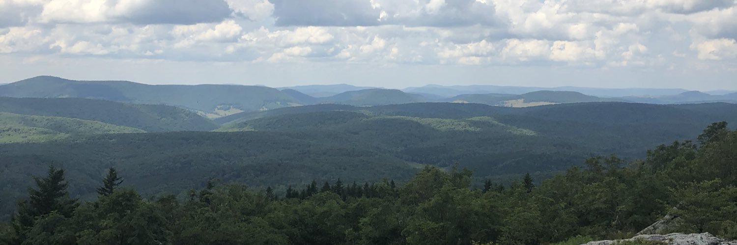 annbran_'s profile banner image