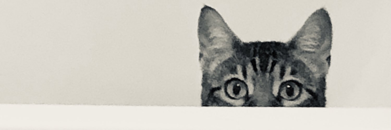 tuffntender's profile banner image
