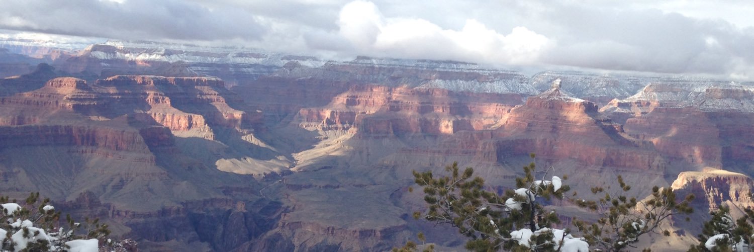 Liz_Emanuel's profile banner image