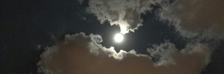 SofiReyess17's profile banner image