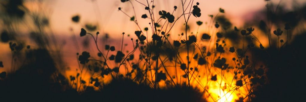 OyyMate_ItsD's profile banner image