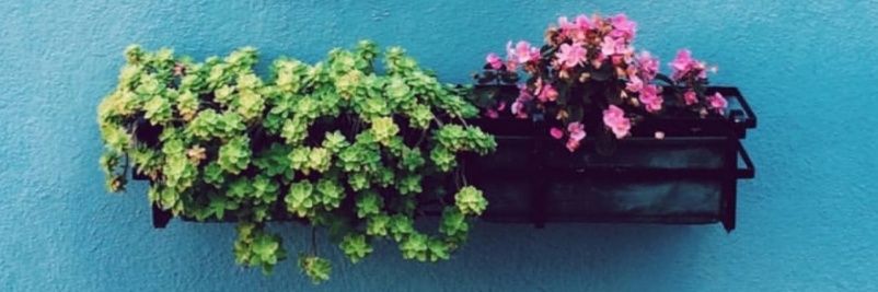 alinaroglu's profile banner image