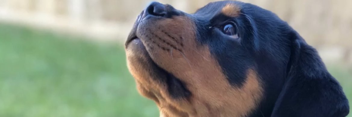 Matt_Berry_'s profile banner image