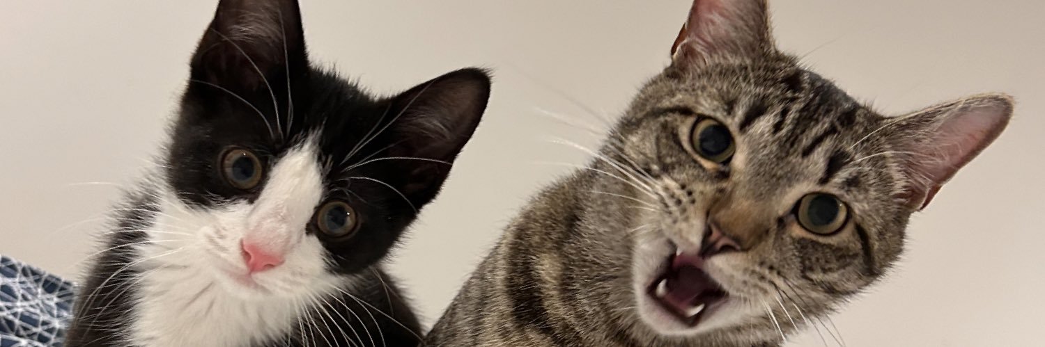 EmilyJuliaAnne's profile banner image