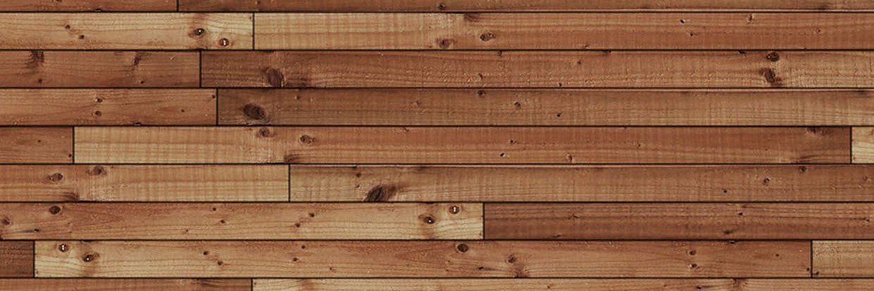 Gonzalo Pizarro Jofré banner