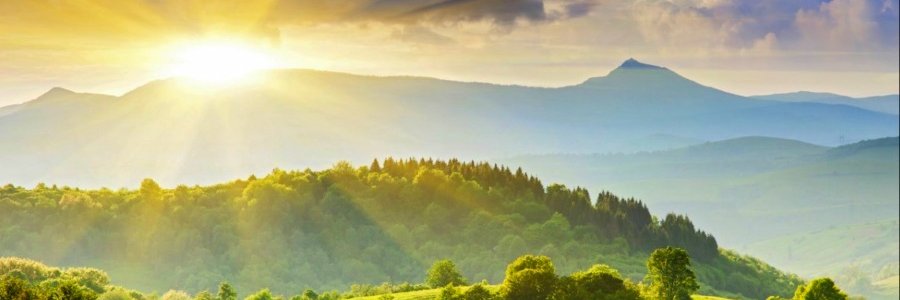 IndraTrofimovic's profile banner image