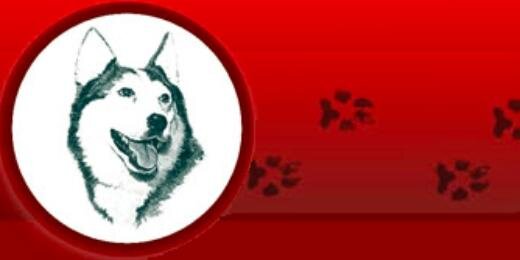NewHolsteinSD banner