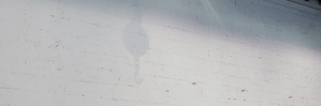 rekkaro's profile banner image