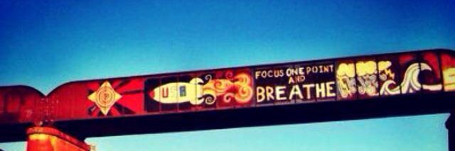 Stephanie Cerda banner