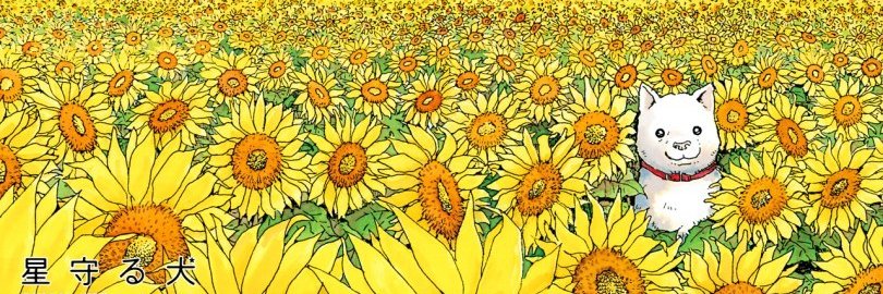 OlifantWalk's profile banner image