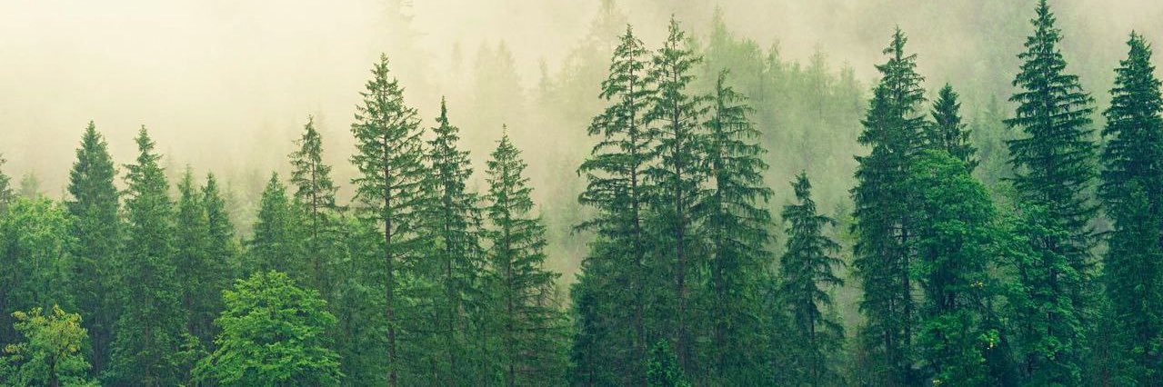Dpyxa's profile banner image