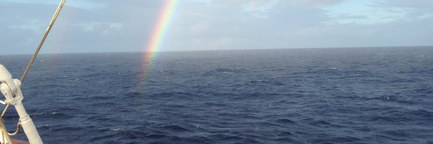 scarfluke's profile banner image