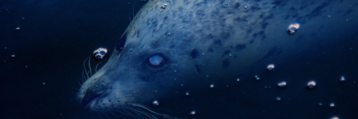 bwslade's profile banner image