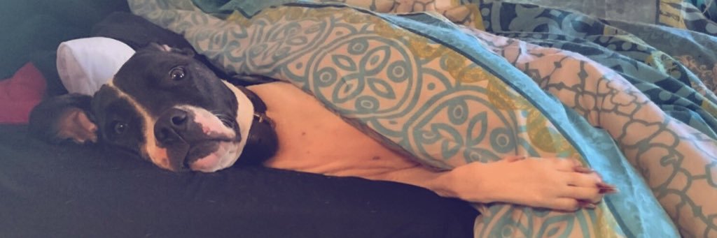 emamissouri's profile banner image