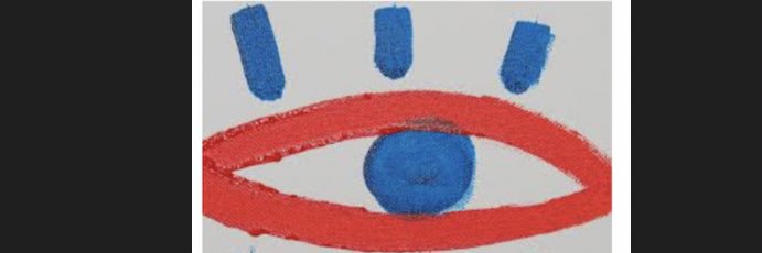 Dra. Luz Elena Concha del Rio banner