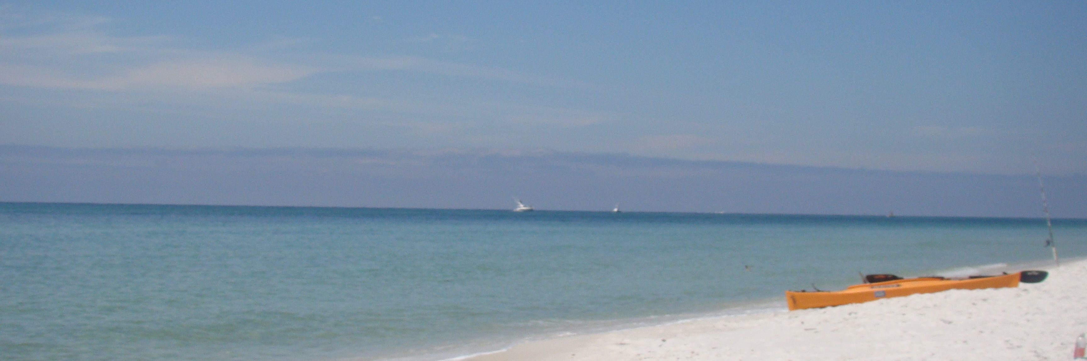 Paige Ysteboe banner