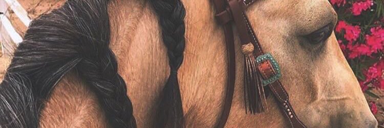 Hvlv96's profile banner image