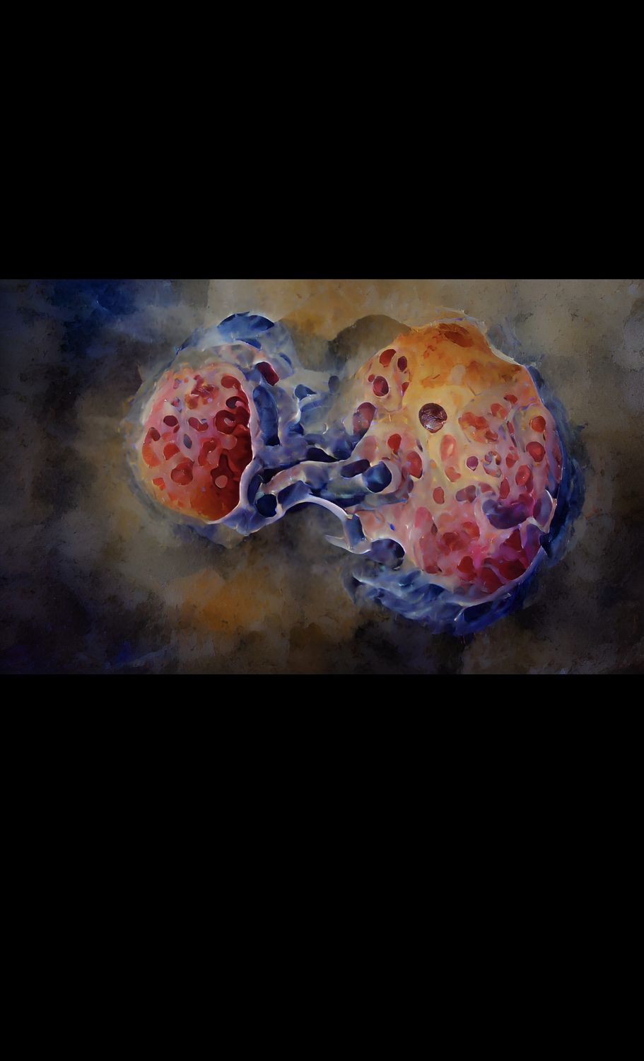 Dr Natasha Aley banner