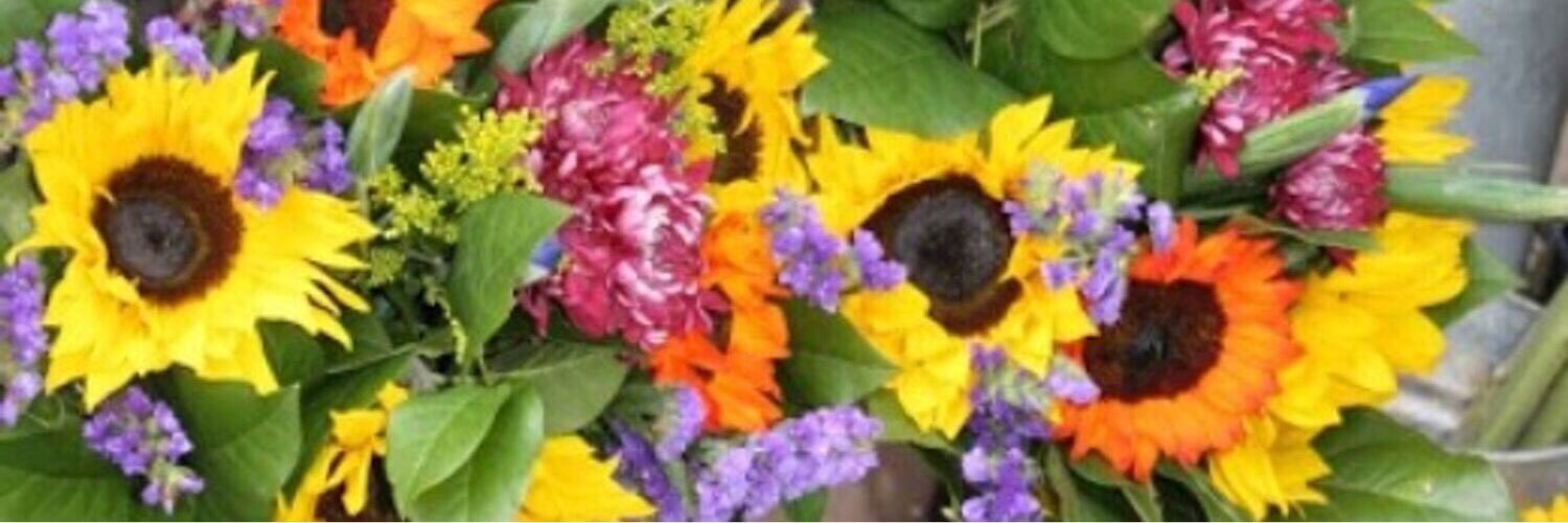 🌸𝔻𝕣. ℝ𝕖𝕟𝕒 ℍ𝕒𝕨𝕜𝕚𝕟𝕤🌸 banner