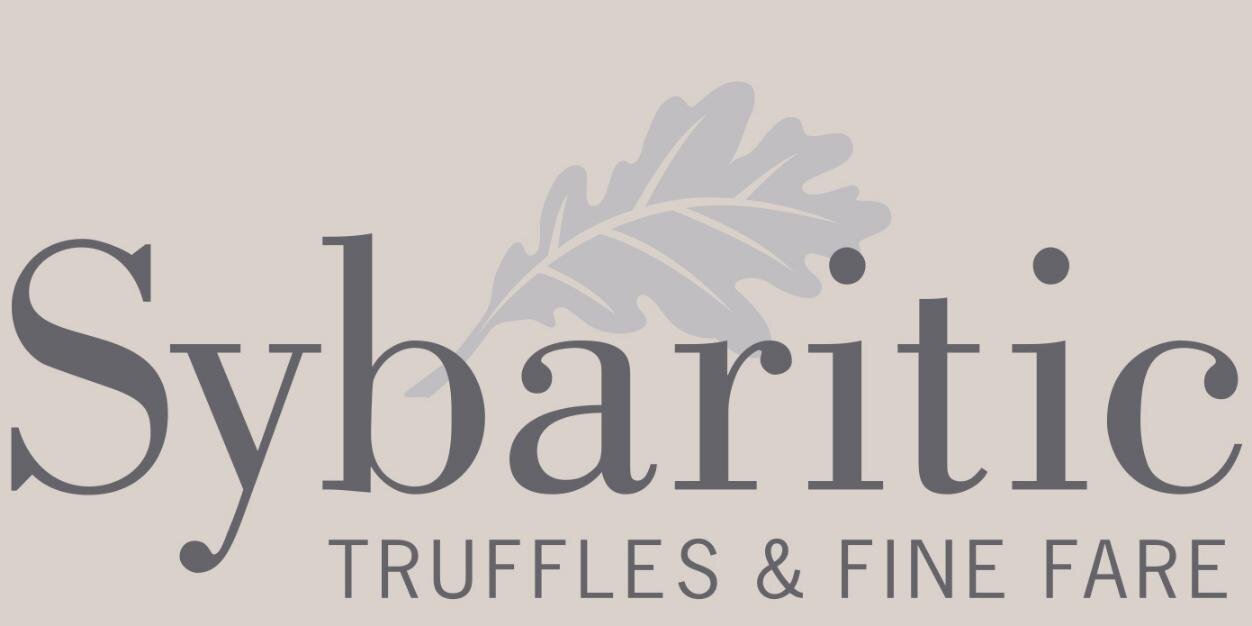 Sybaritic2011's profile banner image
