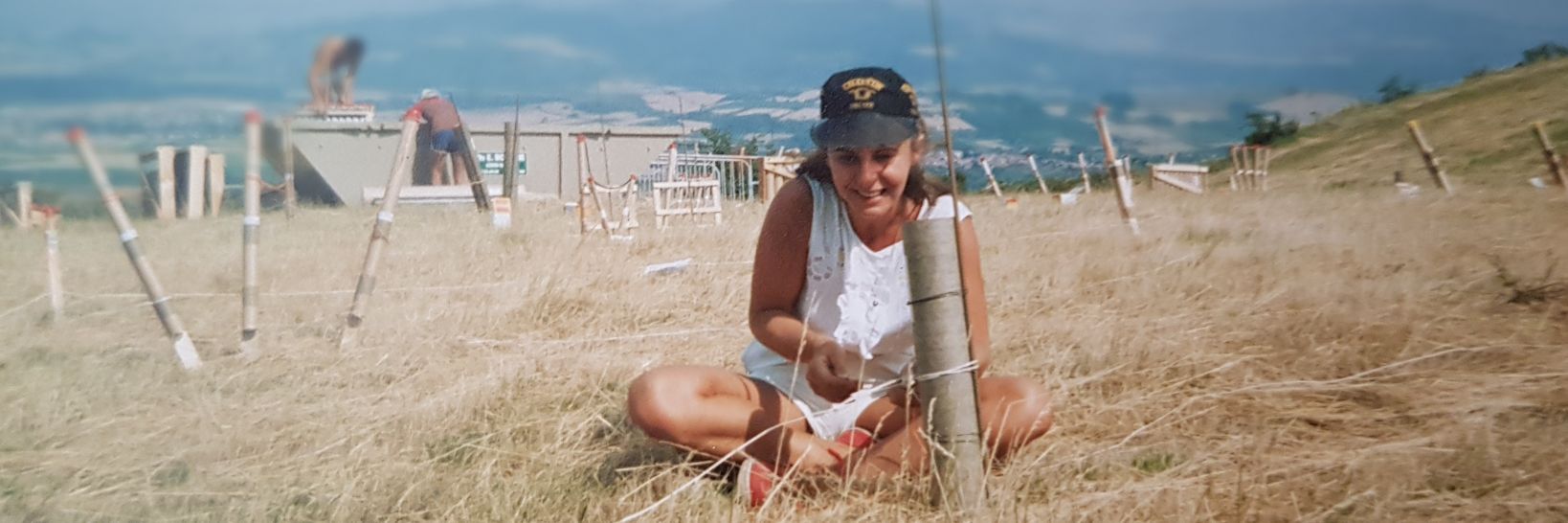 micklvl's profile banner image