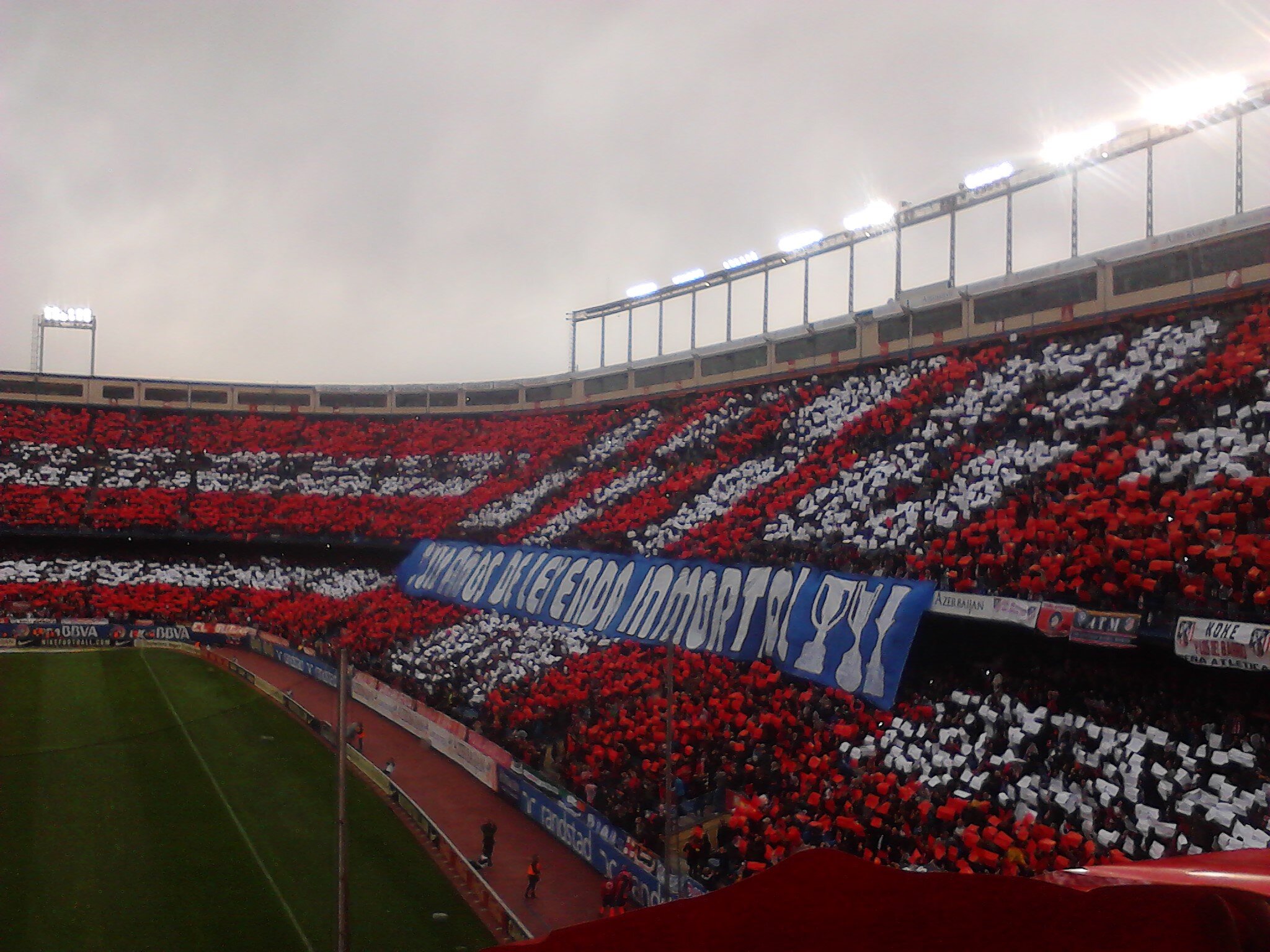TaniaF1903's profile banner image