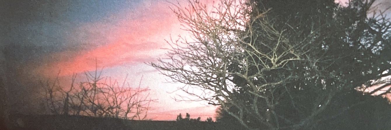 LouisaaaJo's profile banner image
