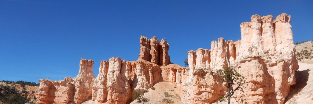 KentGardnerEcon's profile banner image