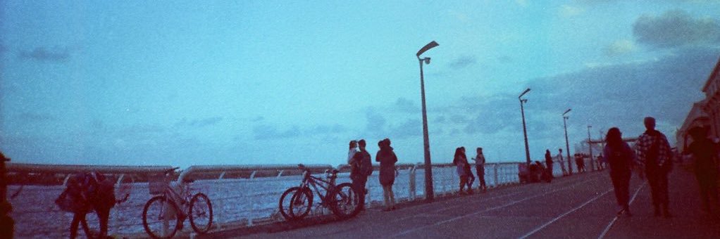 gingermss's profile banner image