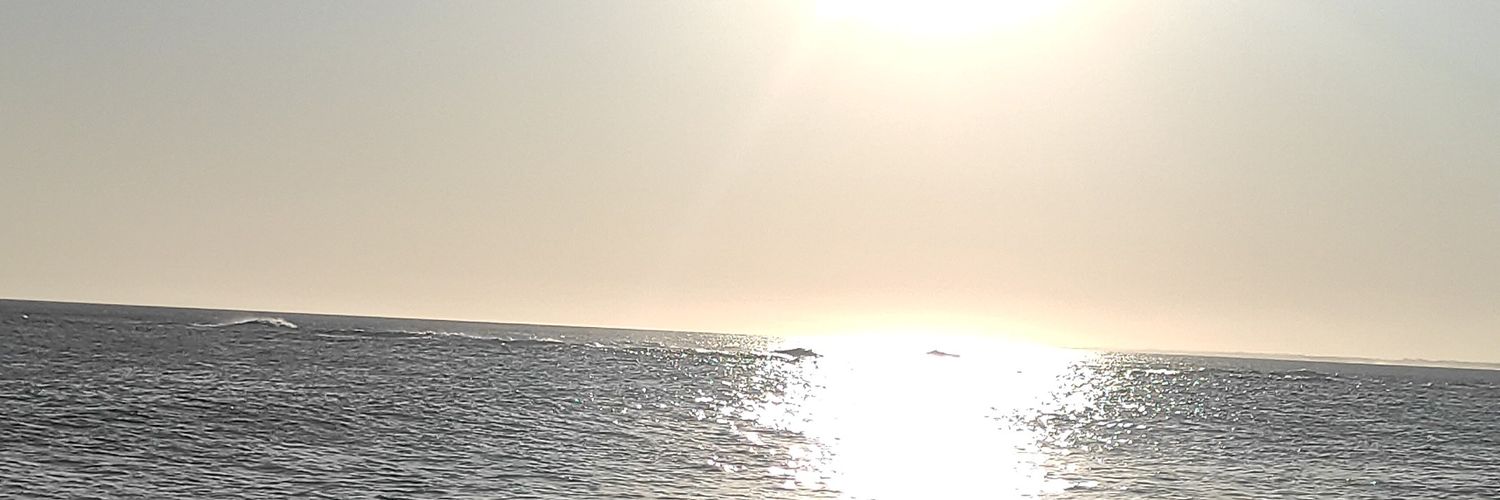 AnyBarbieri's profile banner image