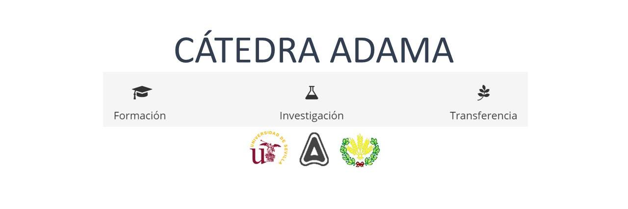 CatedraAdama's profile banner image