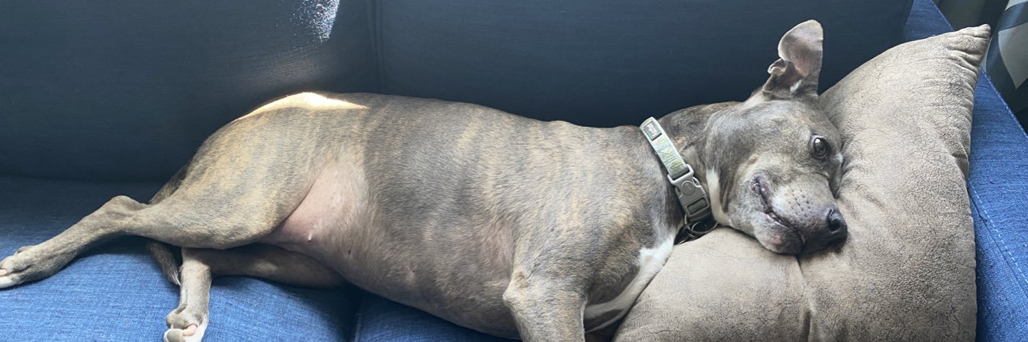 Patrick Quinlan banner