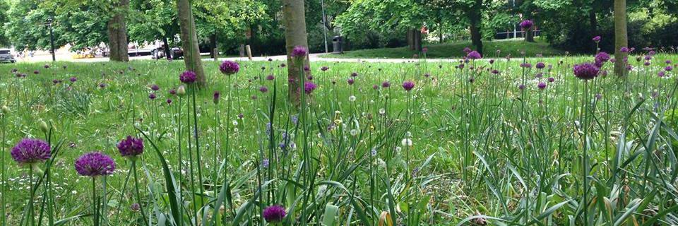 Friends of Hove Park (@FOHovePark) / Posts / X