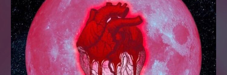 hellocestlel's profile banner image