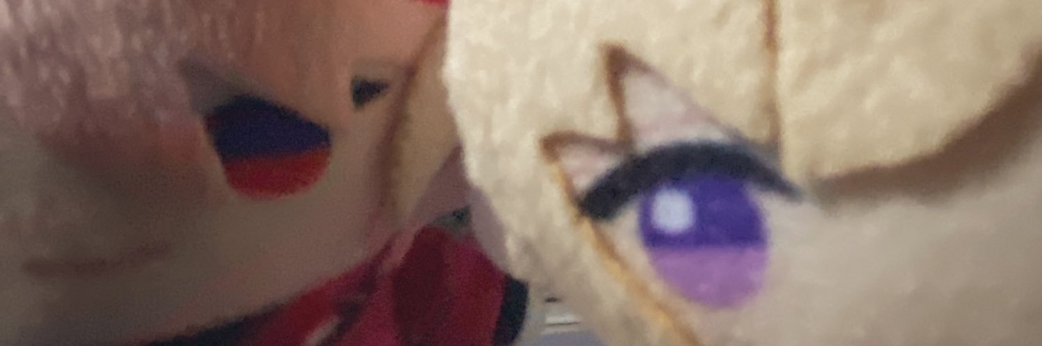 __himegori's profile banner image