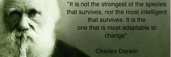 geronatoni Profile Banner