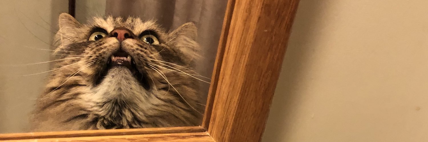emilywormz's profile banner image